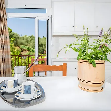 Tamar Apartments, Gæstehus Alykanas (Zakynthos)